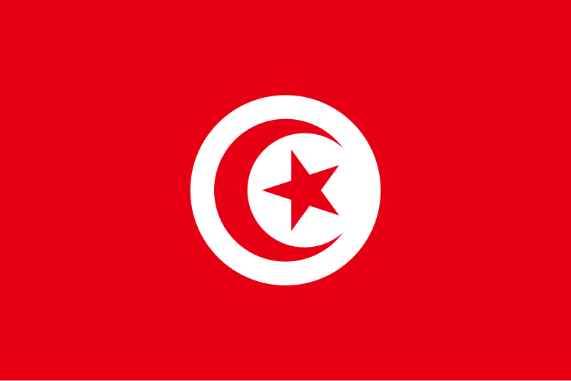 File:Flag of Tunisia.svg