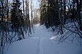 * Nomination Snowy walking path in Holmestrand.--Peulle 06:40, 12 April 2023 (UTC)  Support Good quality. --Ermell 10:54, 12 April 2023 (UTC) * Promotion {{{2}}}