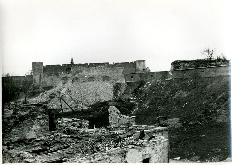 File:Narvafronten, 1944 - Narvafront039.jpg