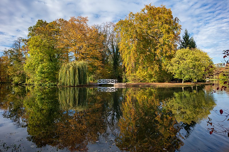 File:Schwetzingen - Schlossgarten - Großer Weiher - Westende mit Brücke im Herbst 1.jpg