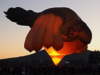 The Skywhale