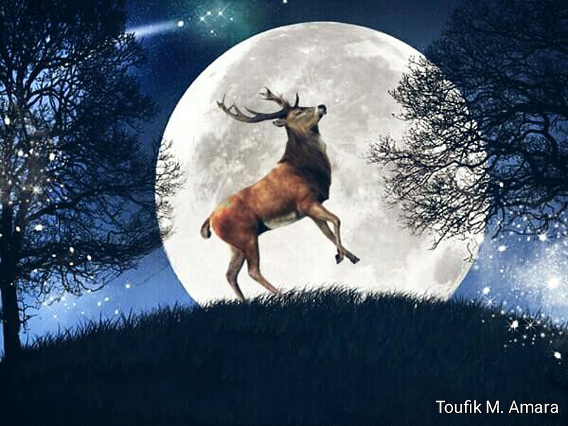 File:Deer in light of the moon - design by Toufik M. Amara.jpg