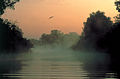 A billabong in the Kakadu National Park, Northern Territory