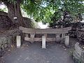 Kurokami Buried Torii is located in the east of Sakurajima 桜島の東側に位置する黒神埋没鳥居