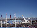 Coastal claster. Sochi Olympic Park.