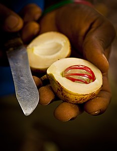 Nutmeg by Terrence Coombes from Tanzania