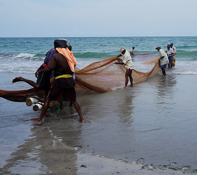 File:Trincomalee Pêcheurs du Sri-Lanka.jpg