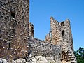 قلعة عجلون Ajlun Castle