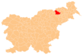 Location of the municipality Maribor within Slovenia