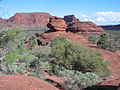 Finke Gorge