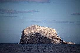 Bass Rock Photograph: Ellievking1