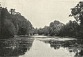 The Botanical Gardens are on the west bank of the River opposite Garden Reach.