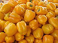 Yellow Pepper at Sayarim-Market