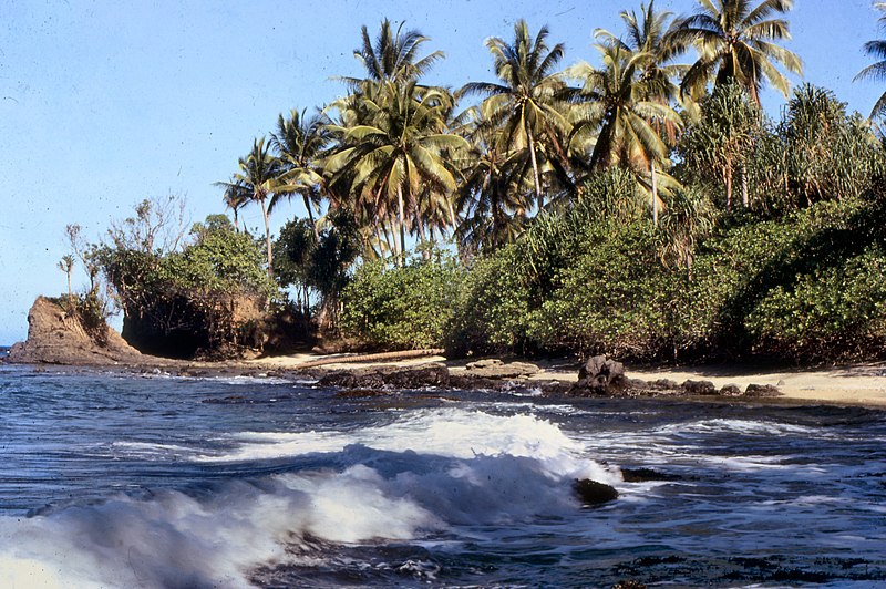 File:Coast near Katuna Village Popondetta 1968 - panoramio.jpg