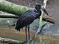 At San Diego Zoo