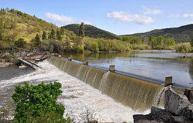 Gold ray dam