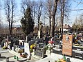 Polski: Cmentarz parafialny w Straconce. Čeština: Farní hřbitov ve Straconce. English: Straconka cemetery.