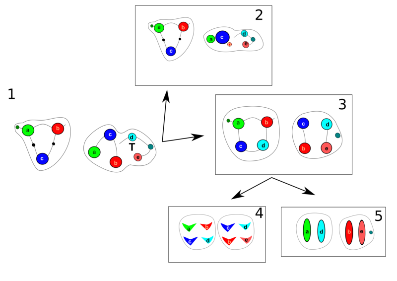 File:Tribosfenico.png