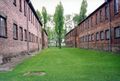 Backyard at Auschwitz I