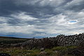 English: Stone wall, Cres / Croatia