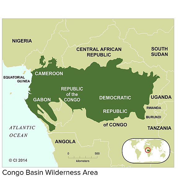 File:Congo Basin Wilderness Area 2005 Print.jpg