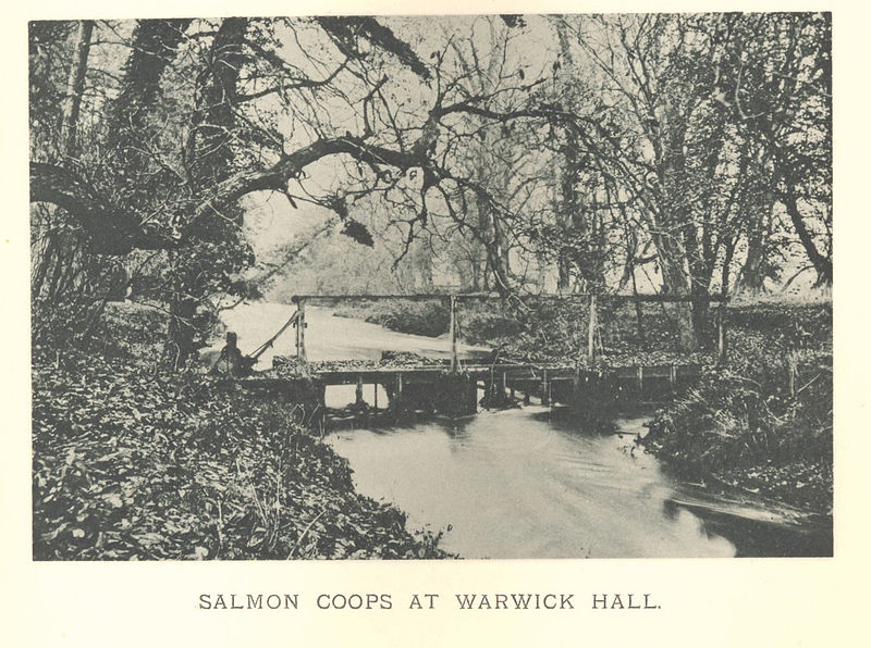 File:FMIB 53443 Salmon Coops at Warwick Hall.jpeg