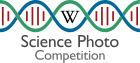 Russian Science Photo Competition 2022