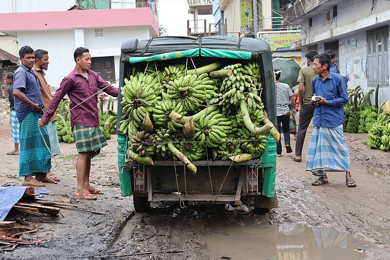 File:Banana selling at Khagrachori.jpg