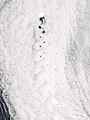 Satellite view of Jan Mayen island with a Von Kármán vortex street showned by cloud vortices, Greenland (on the top) and Norway (on the bottom) Seas