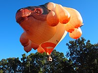 The balloon The Skywhale designed by Patricia Piccinini taking off on its first flight over Canberra