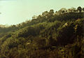 The ruins of Oka Castle / 岡城跡