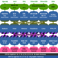 Gallium3D remove code duplication, but also costs some performance!