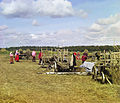 Hay harvest in Russia