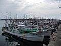 Squid-fishing vessels in Kanezaki Port 鐘崎港のイカ釣り船