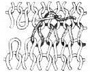 Соединительный трикотажный шов