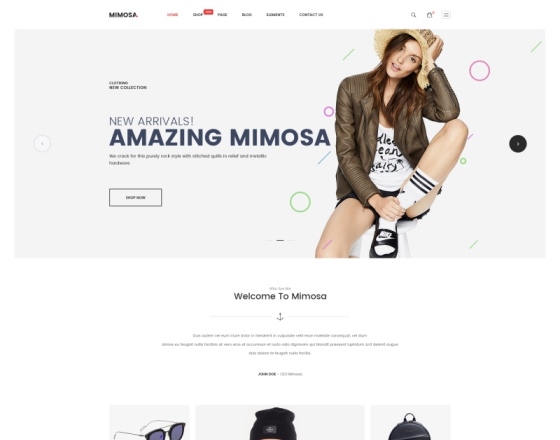 Mimosa - Modern Fashion WooCommerce WordPress Theme