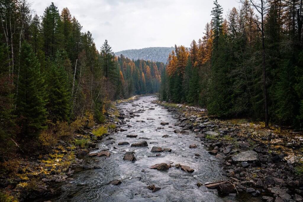 A view of the Kootenai River surrounded by fall colors across Bonners Ferry.