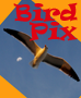 BirdPix logo