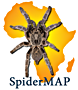 SpiderMAP logo