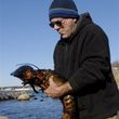 PETA Denies 140 Yr Old Lobster from Making Kids Happy