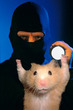 Burglar Takes Hamster, Sock Monkey From Autistic School