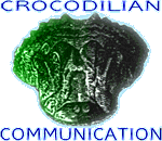 Crocodilian Communication