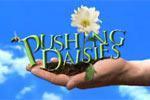 Pushing Daisies, 126131 points