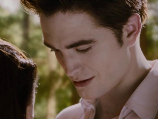 The Twilight Saga Breaking Dawn-part 2