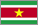 Suriname flag