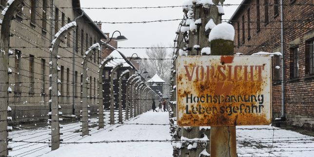 Les barbelés du camp d'Auschwitz-Birkenau, le 26 janvier 2015.
