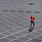 Selbst nüchterne Portfoliomanager haben eine Schwäche für Aktien aus dem Solarsektor (Aufnahme: Solarkraftwerk Neuendorf).