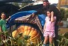 Cosseting the giant pumpkin