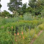 Dieser Staudengarten in Seegräben weckt Assoziationen der Steppe.