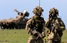 НАТО готовится к войне c Путиным - Newsweek